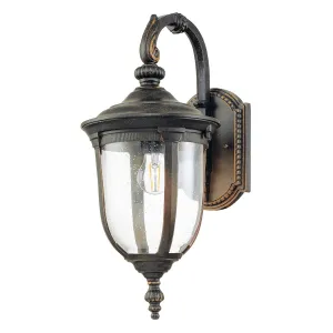 Cleveland 1 Light Medium Wall Lantern | Weathered Bronze