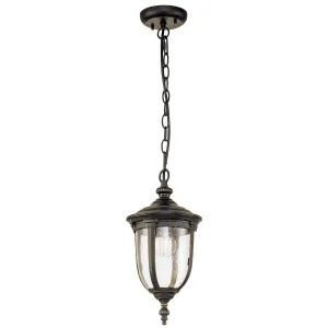 Cleveland 1 Light Small Chain Lantern | Weathered Bronze