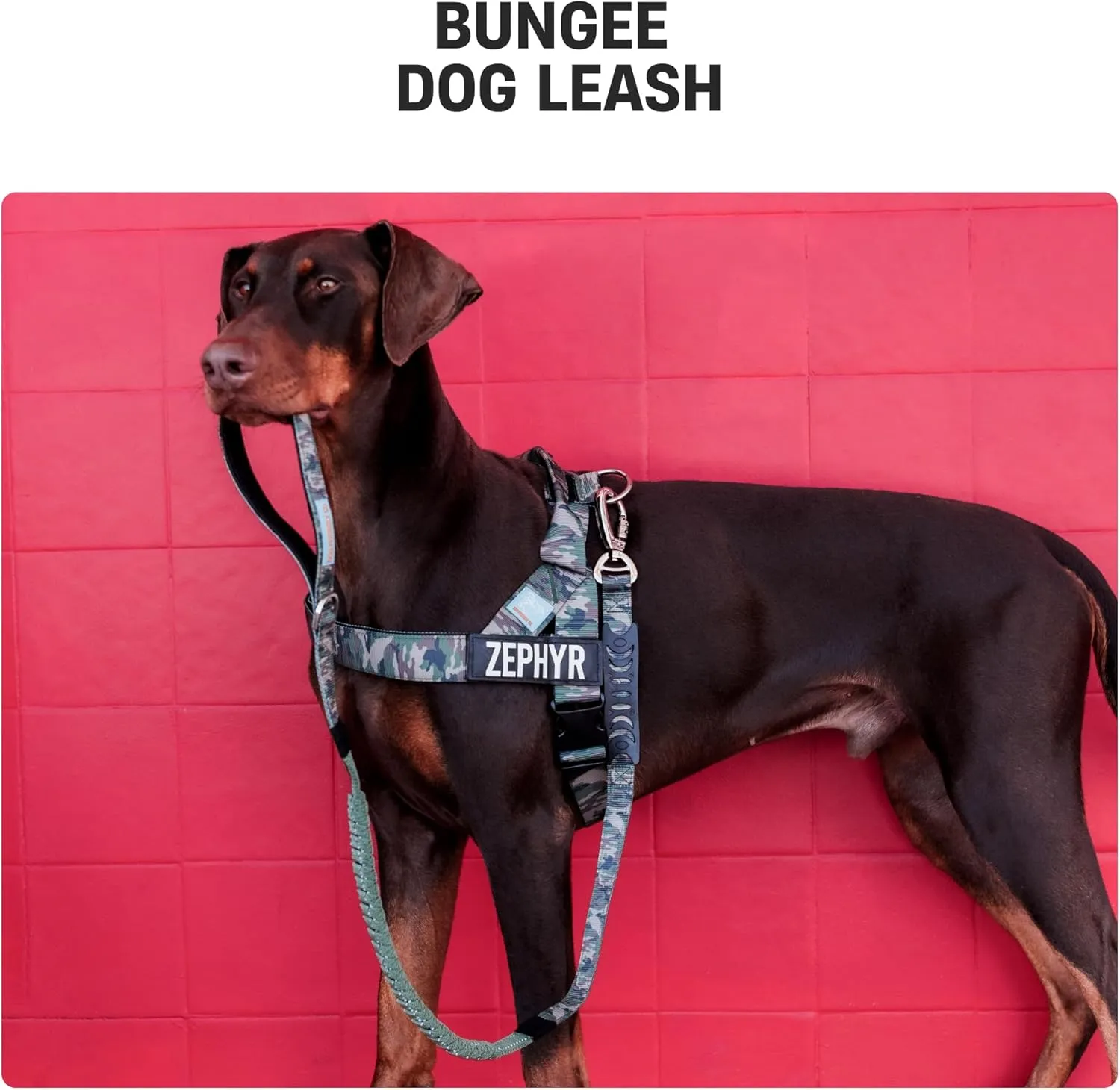 DF Co. Bungee Dog Leash | Strain Free & Shock Resistant for Control | Neoprene Padded Handle, Heavy-Duty Carabiner Clip, and D-Ring | Sky Blue, Size Regular