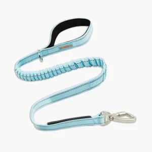 DF Co. Bungee Dog Leash | Strain Free & Shock Resistant for Control | Neoprene Padded Handle, Heavy-Duty Carabiner Clip, and D-Ring | Sky Blue, Size Regular