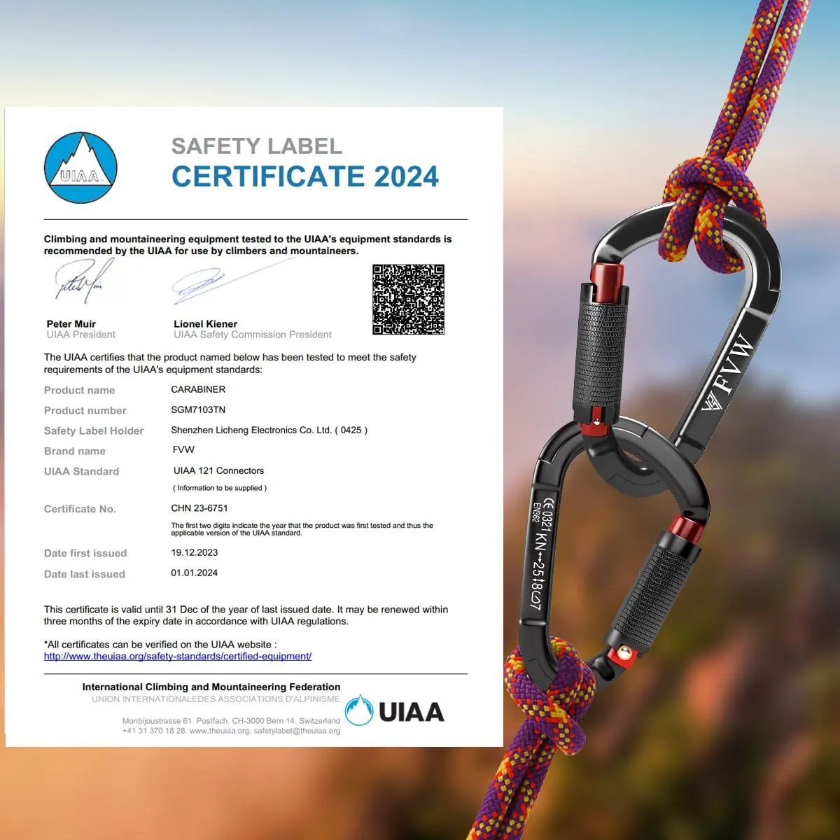 FVW Auto Locking Rock Climbing Carabiner Clips, UIAA Certified Professional 25KN (5620 lbs) Heavy Duty Caribeaners for Rappelling Swing Rescue & Gym etc,Large Carabiners,D-Shaped