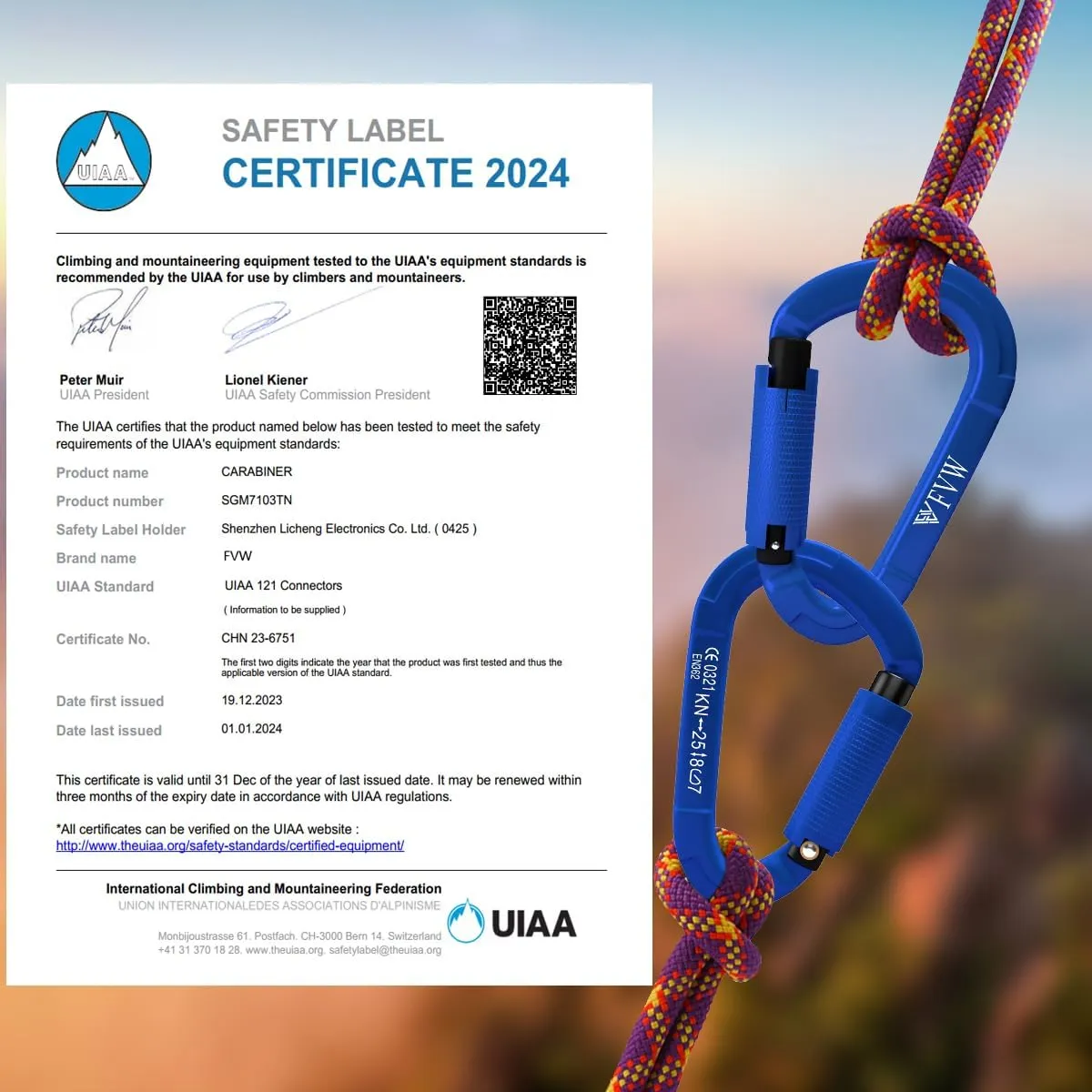 FVW Auto Locking Rock Climbing Carabiner Clips,Professional 25KN (5620 lbs) Heavy Duty Caribeaners for Rappelling Swing Rescue & Gym etc, Large D-Shaped Carabiners