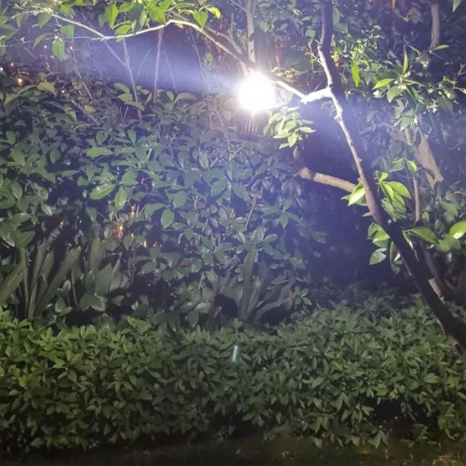 Hakol Outdoor Solar Powered LED Rechargeable Mosquito Zapper Lantern