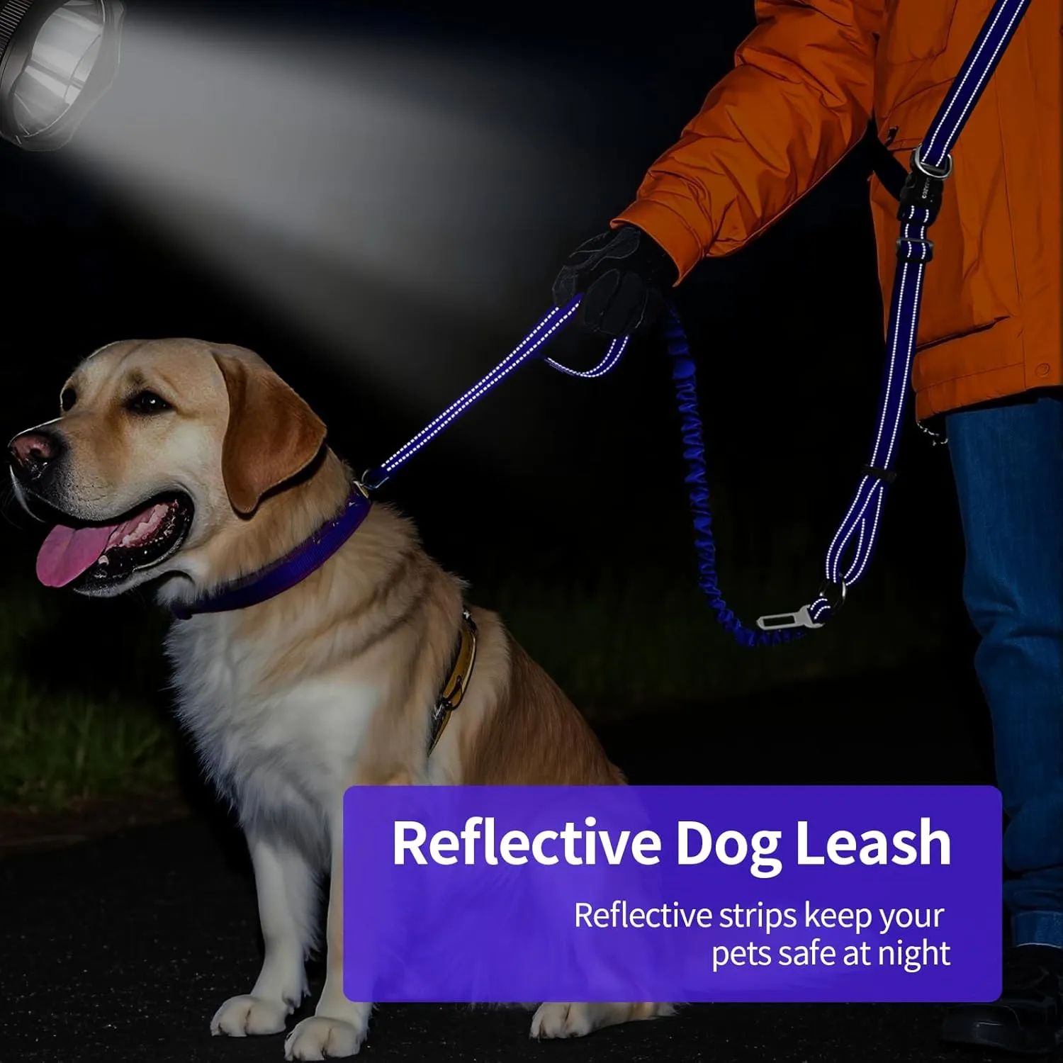 ​Hands Free Dog Leash for Large Dogs ​Adjustable 6 to 9 Feet ​Heavy Duty with ​No Pull Bungee & ​Reflective Ideal for ​Running, ​Jogging, ​Leash ​Carabiner for Ultimate Convenience Purple