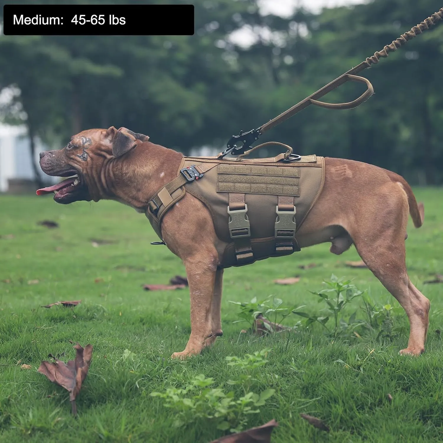 ICEFANG GN3 Tactical Dog Harness with 6X Buckle,Dog Molle Vest with Handle,3/4 Body Coverage,Hook and Loop Panel for ID Patch,No Pulling Front Clip (M (25"-31" Girth), Coyote Brown)