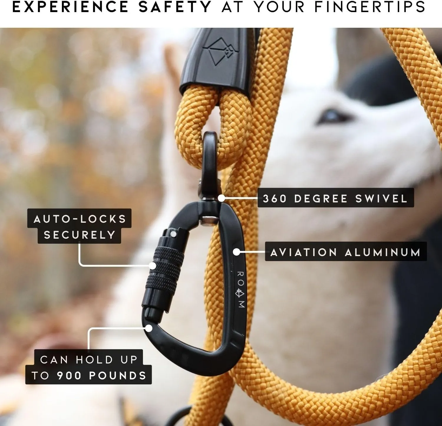MADE TO ROAM Premium Explorer Leash - Climbing Rope Leash with Autolocking Aviation Aluminum Carabiner - Alaska Daybreak, 6ft