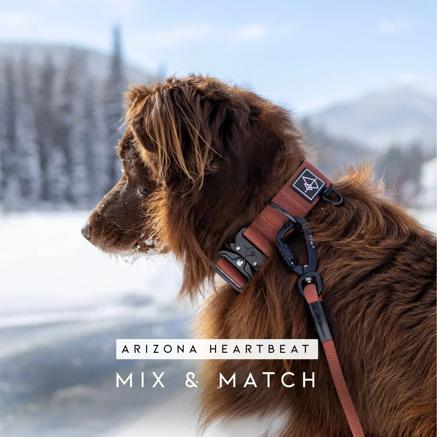 MADE TO ROAM Premium Explorer Leash - Climbing Rope Leash with Autolocking Aviation Aluminum Carabiner - Alaska Daybreak, 6ft