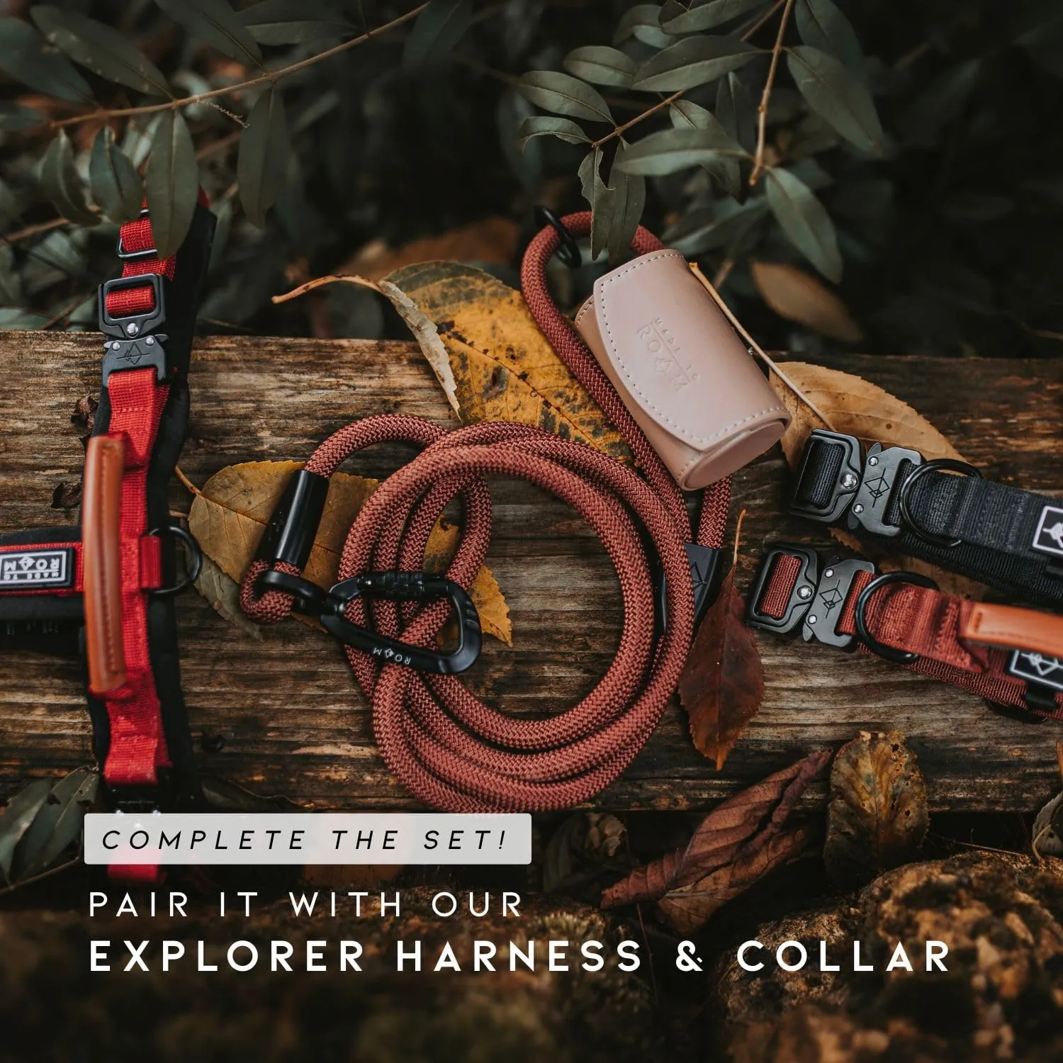 MADE TO ROAM Premium Explorer Leash - Climbing Rope Leash with Autolocking Aviation Aluminum Carabiner - Alaska Daybreak, 6ft