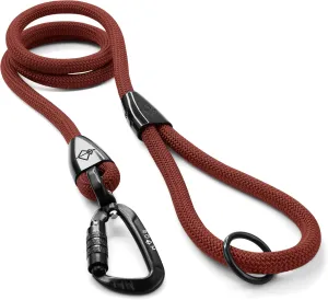 MADE TO ROAM Premium Explorer Leash - Climbing Rope Leash with Autolocking Aviation Aluminum Carabiner - Arizona Heartbeat, 6ft