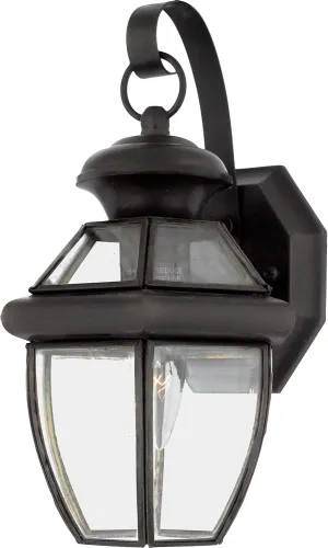 Quoizel Newbury Outdoor Wall Lantern, 12 Inch 1-Light Medici Bronze Wall Sconce, French Country Exterior Wall Lantern Fixture, E26 Base, Clear Glass, Outside Lights for Patio, Porch, Garage or Yard