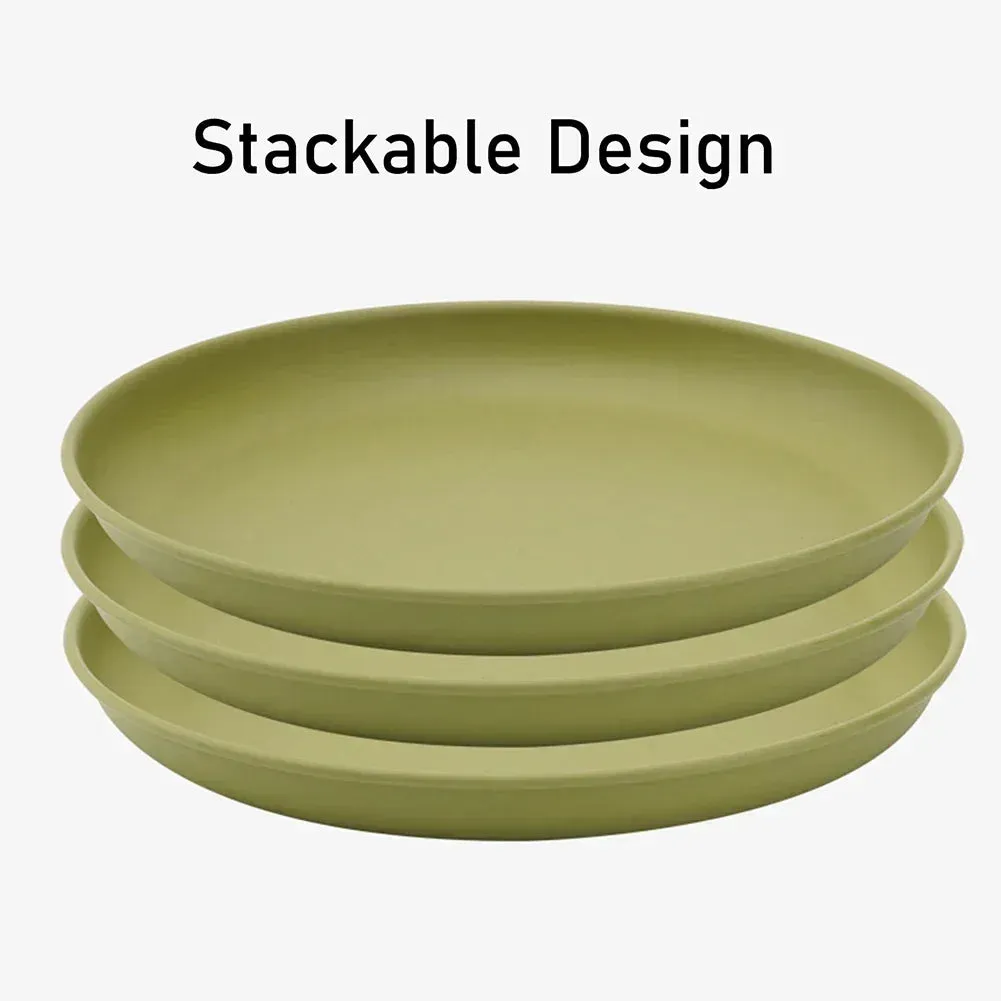 Titanium  Dishes