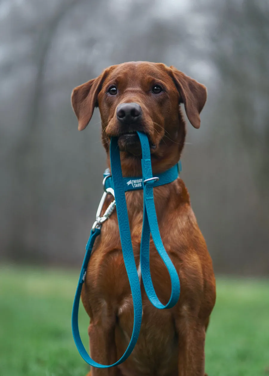 Twiggy Tags Tidal Waterproof Lead-Azure
