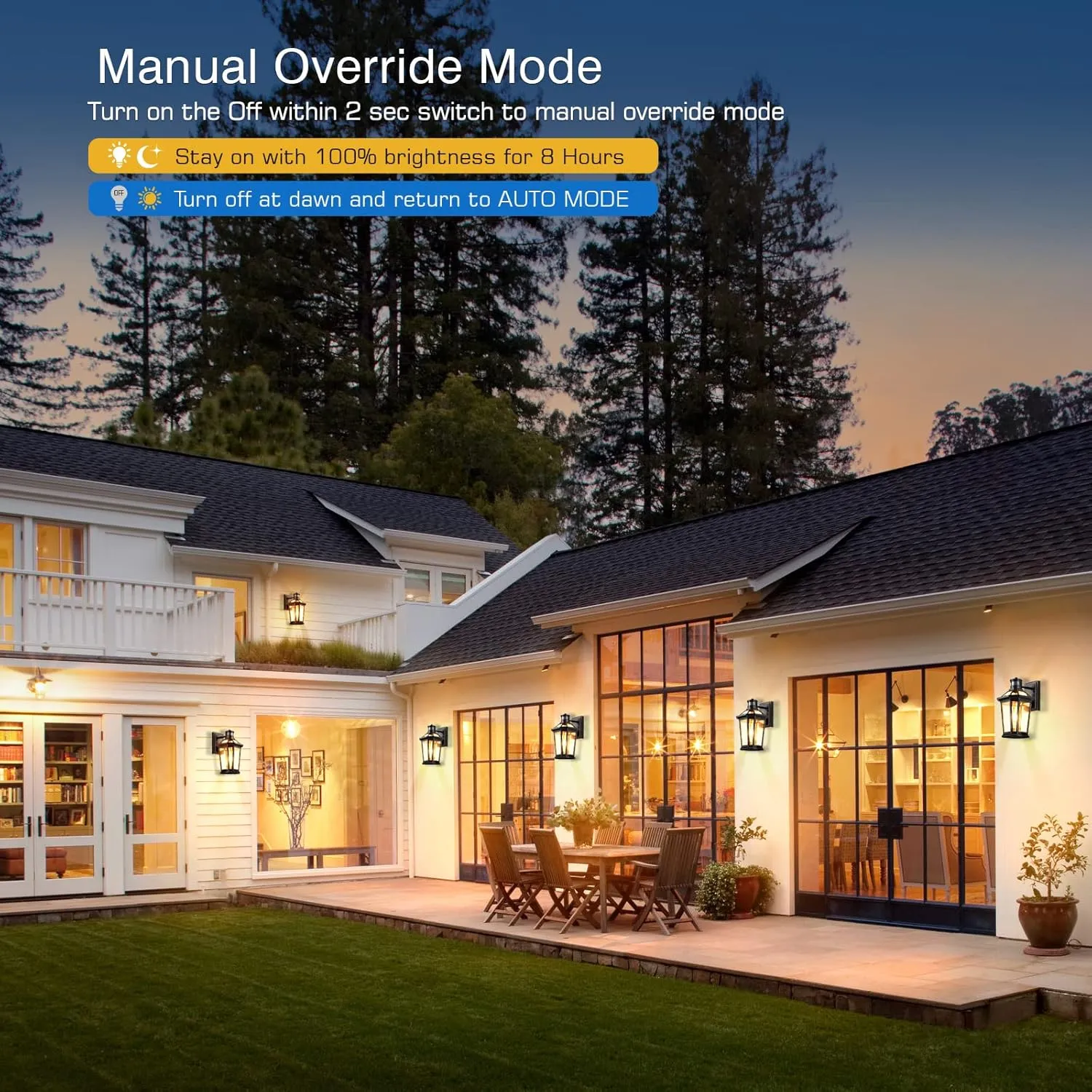 VIANIS Motion Sensor Outdoor Wall Lantern