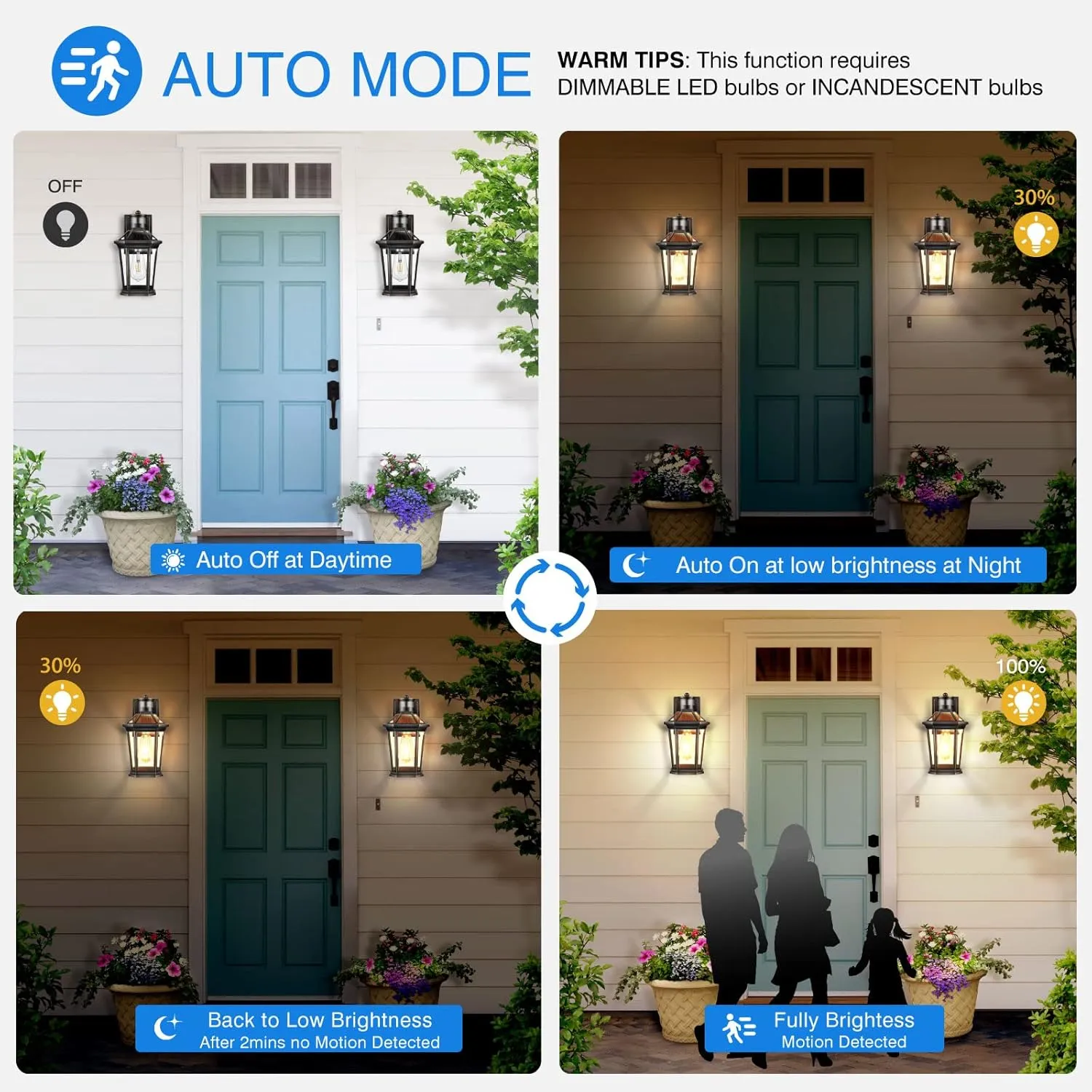VIANIS Motion Sensor Outdoor Wall Lantern