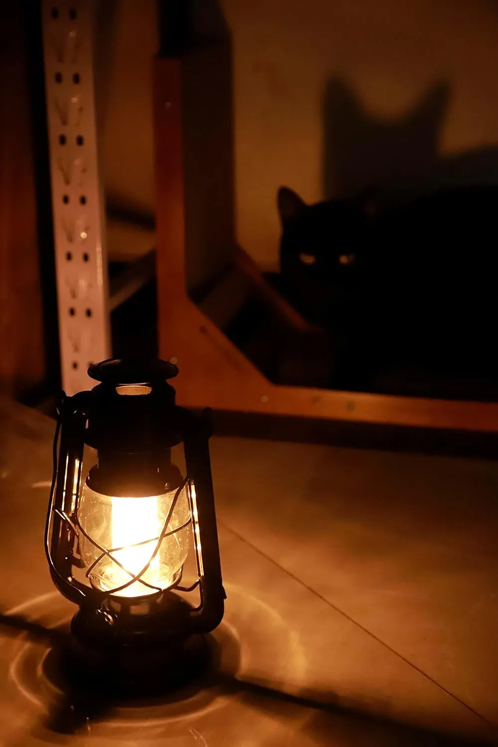 YAKii LED Vintage Lantern Metal Hanging Hurricane 12 LED Dimmer Switch Warm White Battery Operated Power Outage Indoor Camping Lighting Outdoor Brooklyn (Black 2 Pack)